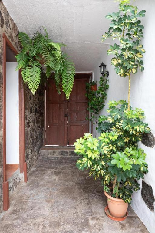 Casa Canaria Acero Ferienhaus